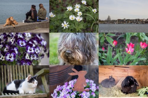 Wochenrückblick in Bildern