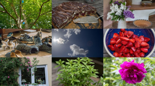 Wochenrückblick in Bildern