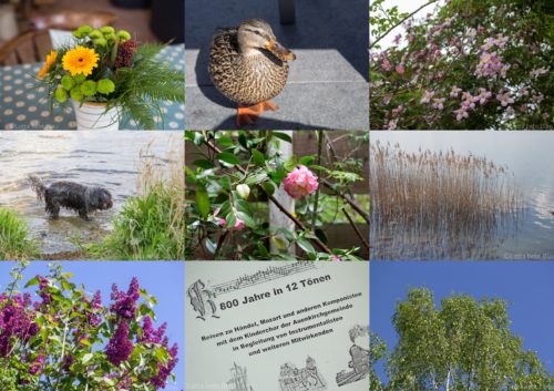 Wochenrückblick in Bildern