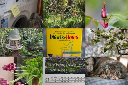 Wochenrückblick in Bildern