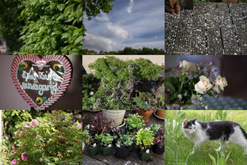 Wochenrückblick in Bildern