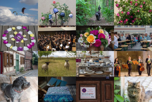 Monatliche Collagen und Suchbegriffe…