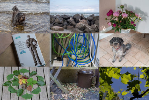 Wochenrückblick in Bildern