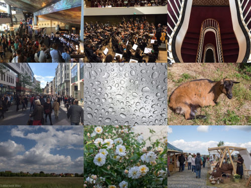 Wochenrückblick in Bildern