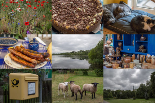 Wochenrückblick in Bildern