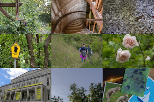 Wochenrückblick in Bildern