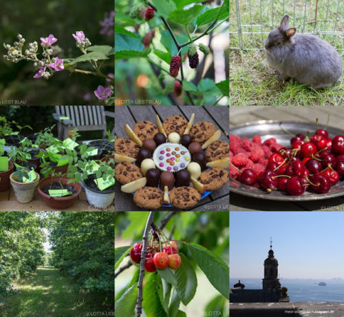 Wochenrückblick in Bildern