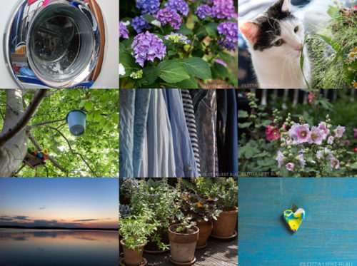 Wochenrückblick in Bildern