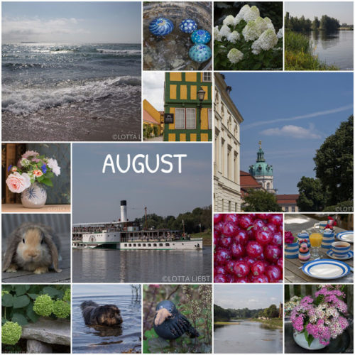 Monats-Collage im August