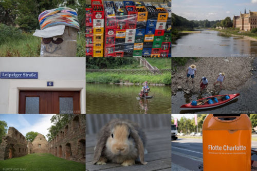 Wochenrückblick in Bildern