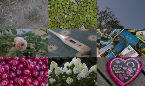 Wochenrückblick in Bildern