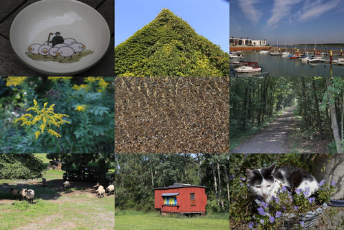 Wochenrückblick in Bildern