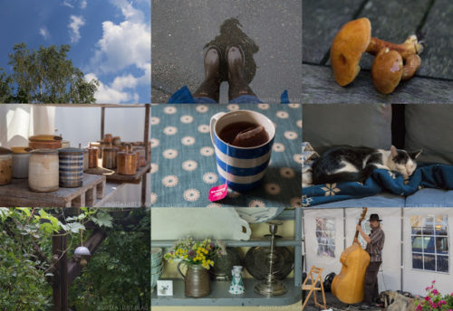 Wochenrückblick in Bildern