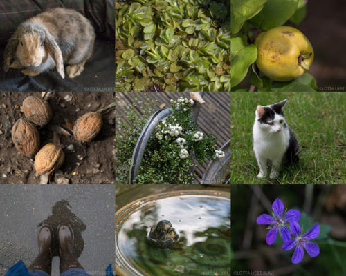 Wochenrückblick in Bildern