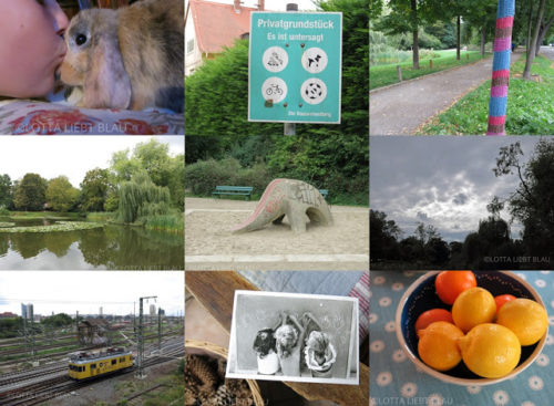 Wochenrückblick in Bildern