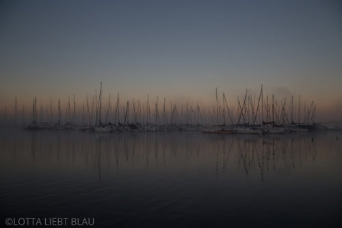 Ein neuer Tag beginnt…