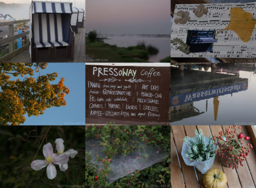 Wochenrückblick in Bildern