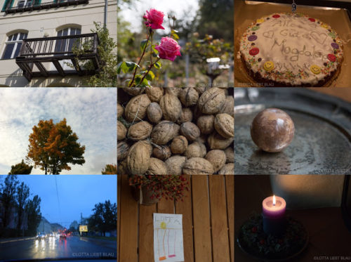 Wochenrückblick in Bildern