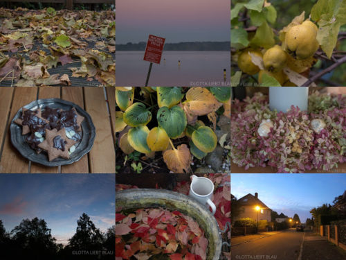 Wochenrückblick in Bildern