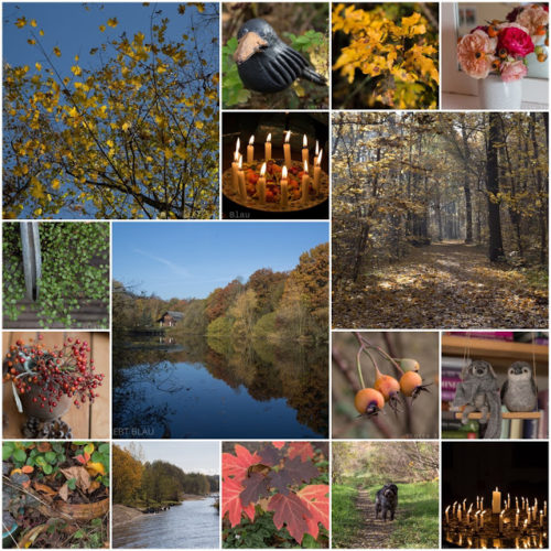 Monatscollage November