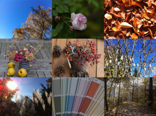 Wochenrückblick in Bildern