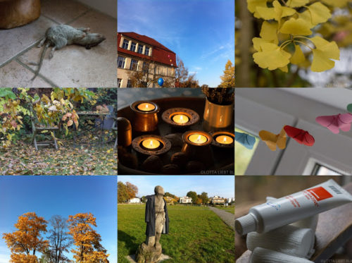 Wochenrückblick in Bildern