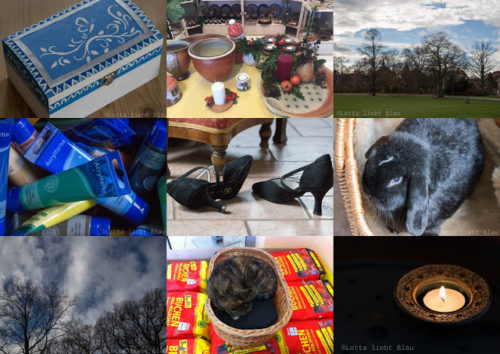 Wochenrückblick in Bildern