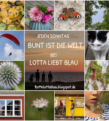 Bunt ist die Welt #56