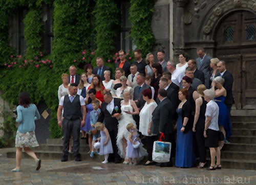 Mittwochs mag ich…