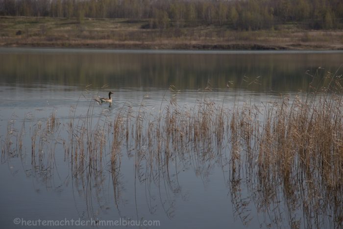 Blick auf den See