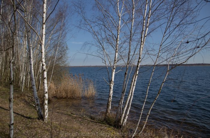 Cospudener See