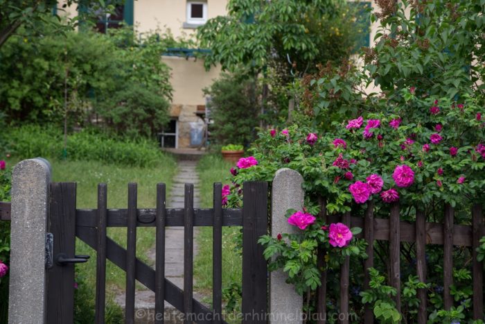 Gartenansicht