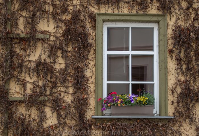 Fenster