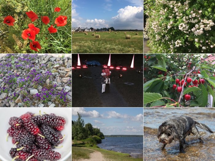 Sommer