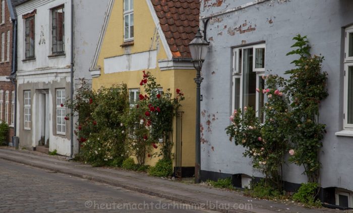 Ribe