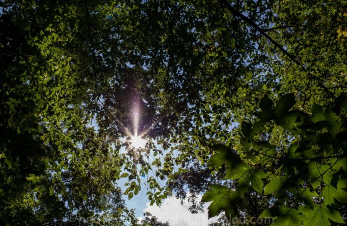 Licht