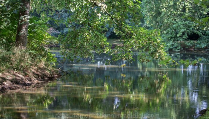 Teich