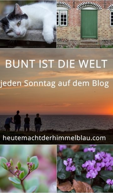 Bunt_ist_die_welt_logo