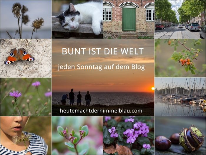 Bunt_ist_die_welt_logo
