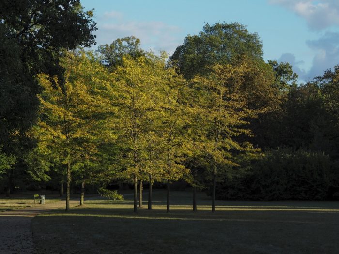 Neuer Garten