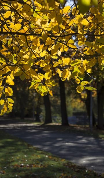 Ab ins Gegenlicht