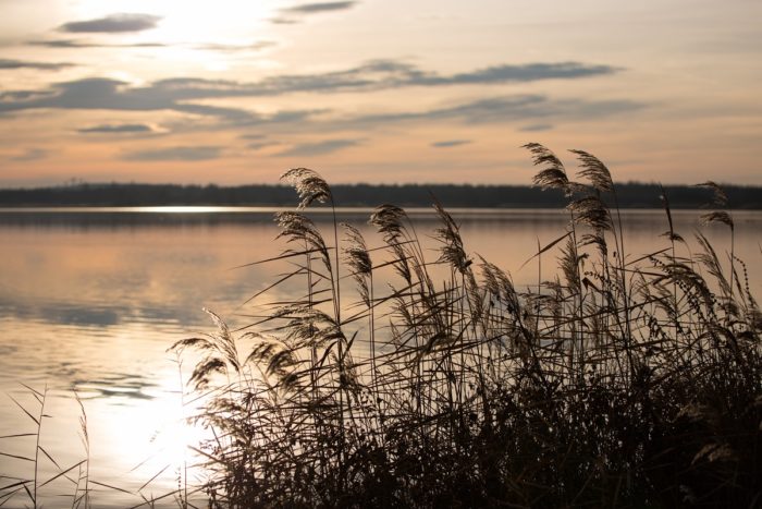 Markkleeberger See