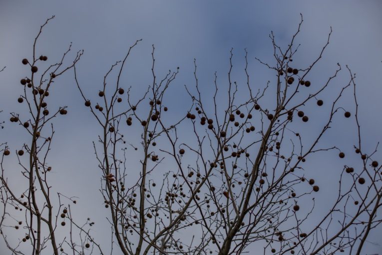 Himmel