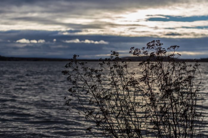 Rückblick