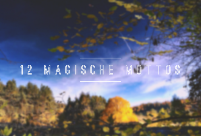 Bloggerprojekt