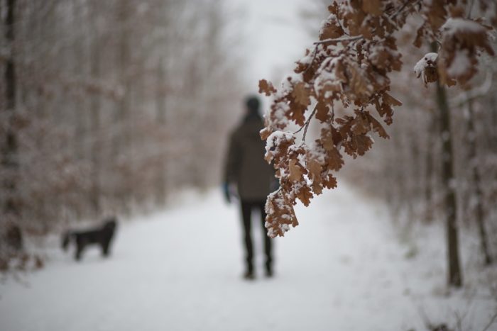 Winterblues
