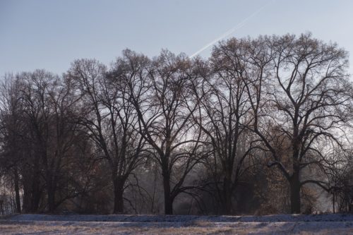 Winterlicht