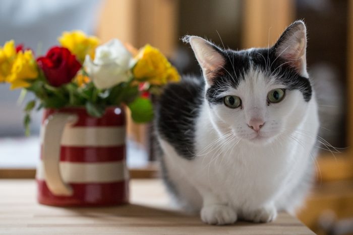 Luna