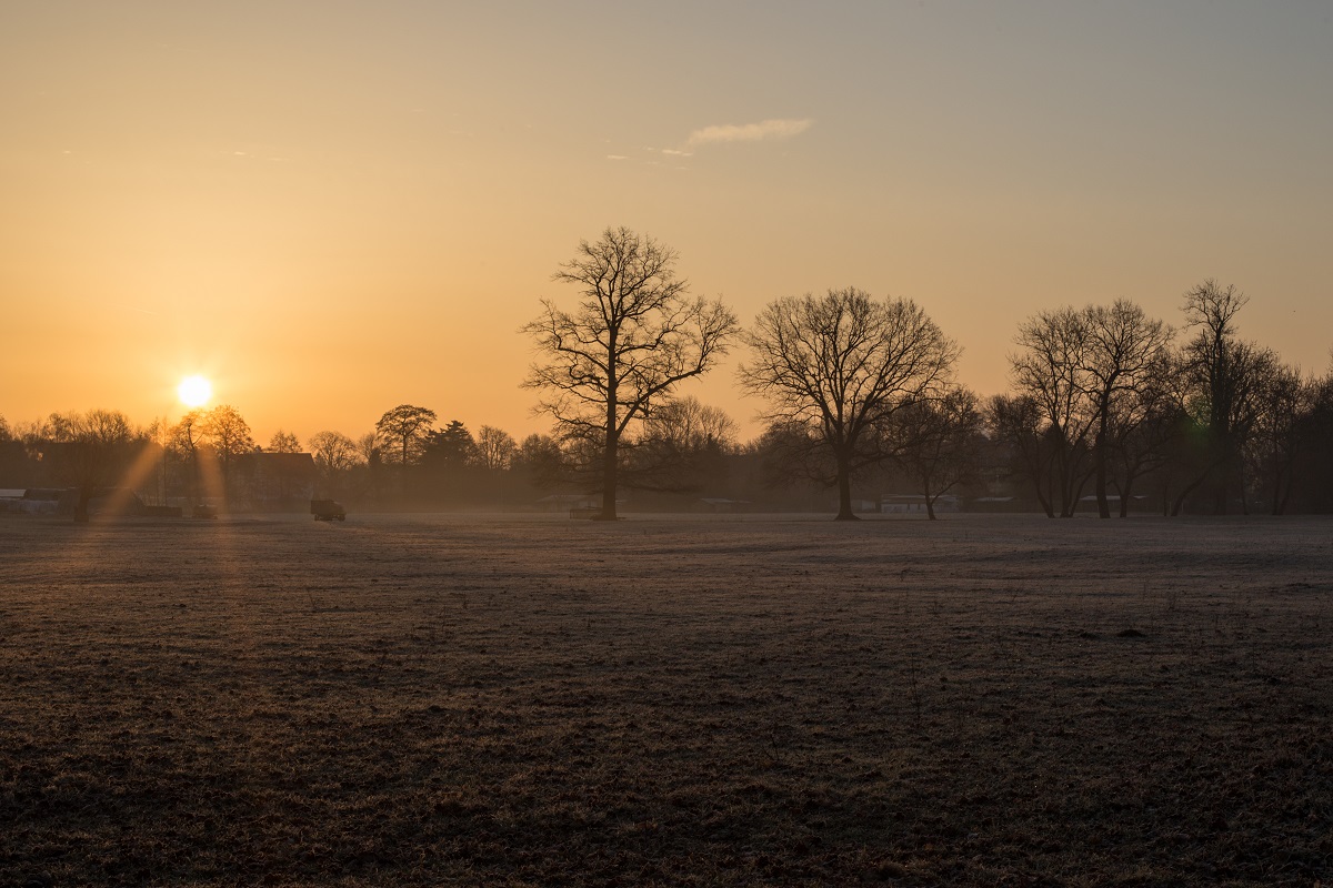 Wintermorgensonne