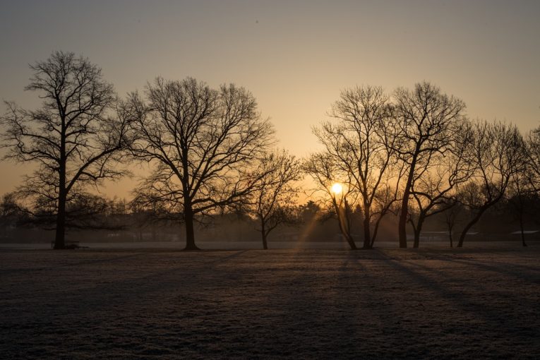 Wintermorgensonne
